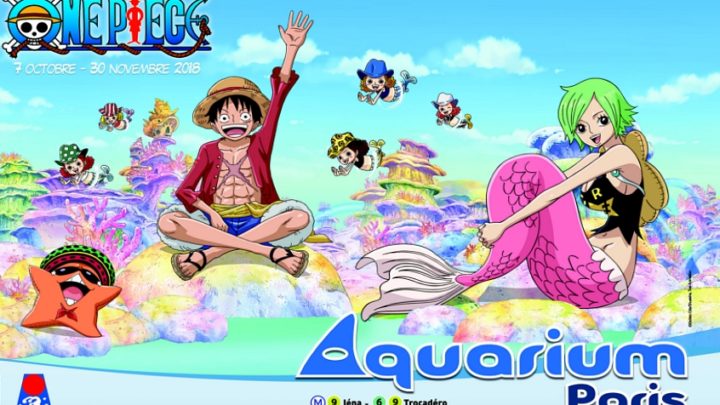 L’Aquarium de Paris : One Piece fait son show !